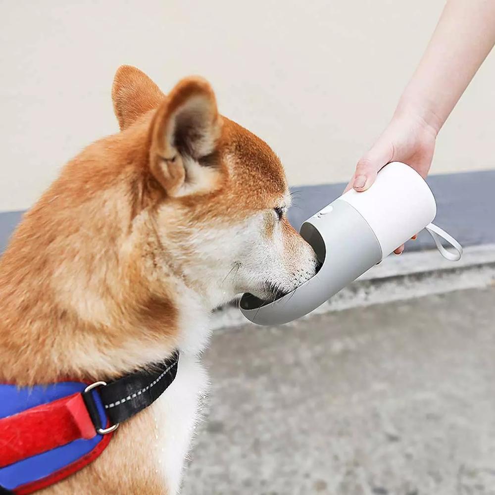Pet Drinking Cup.