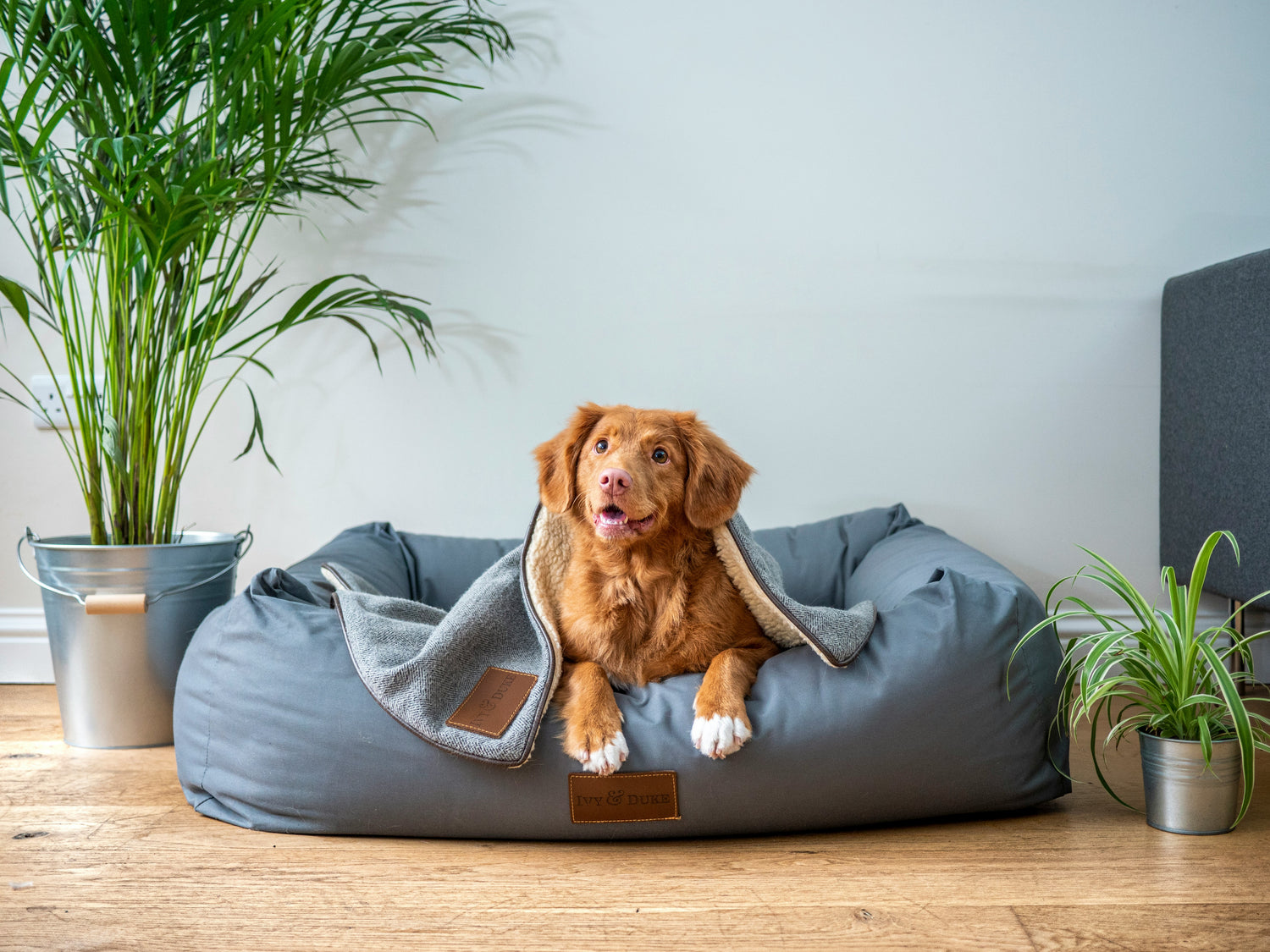 Beds & Mats