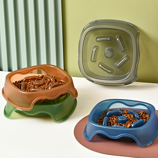 Slow Feeder Dog Bowl.