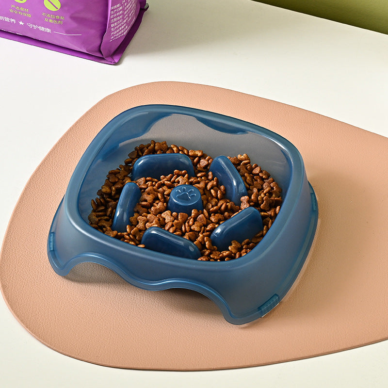 Slow Feeder Dog Bowl.