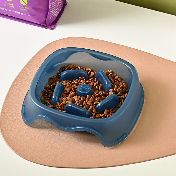 Slow Feeder Dog Bowl.