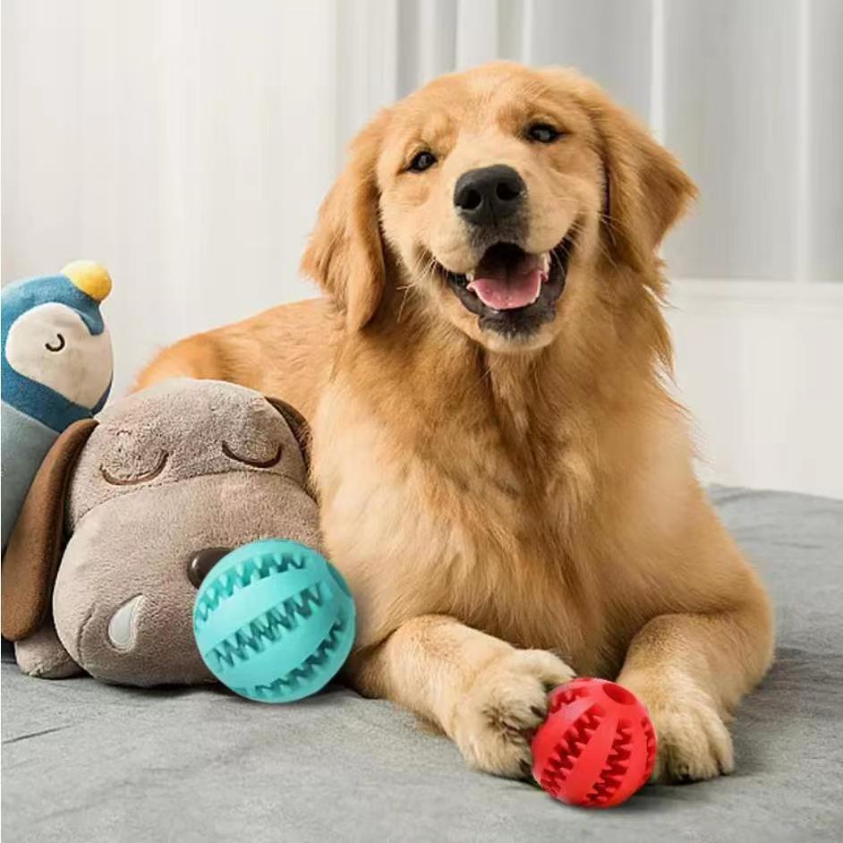 Interactive Dog Toys – Treat Balls & Hemp Rope.