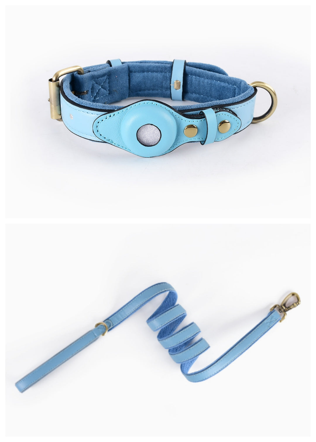 Dog Collar with Secure AirTag Holder