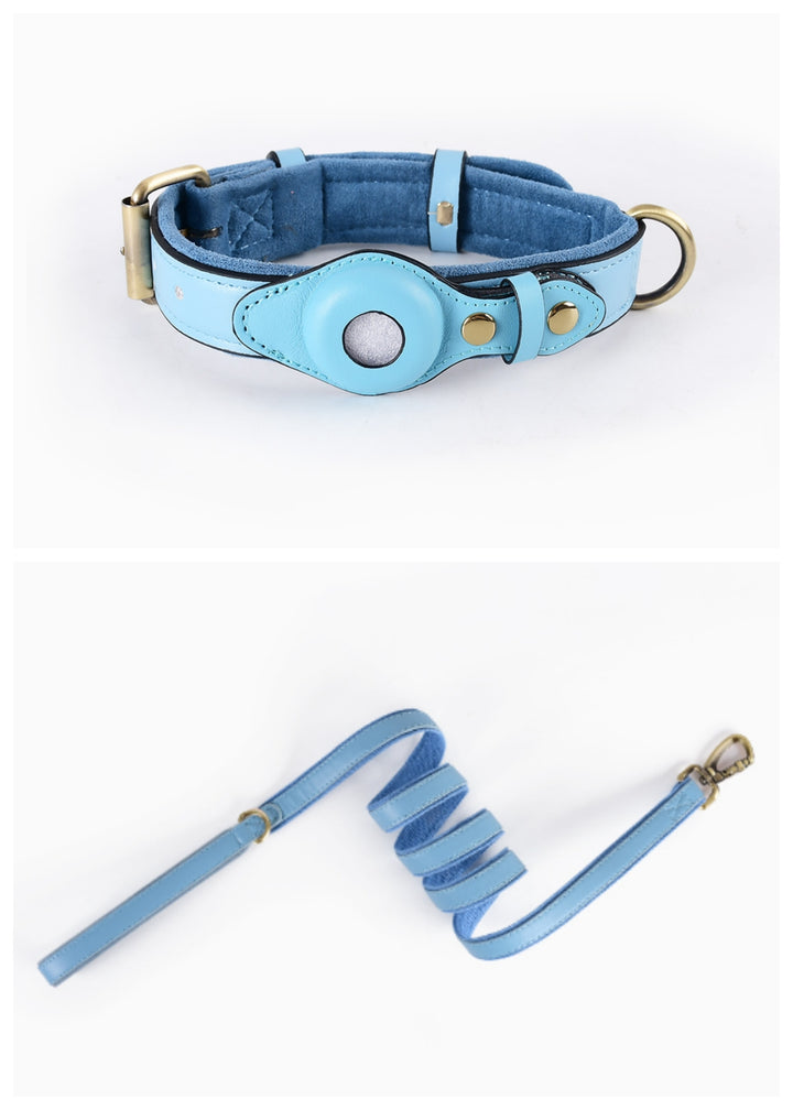 Dog Collar with Secure AirTag Holder