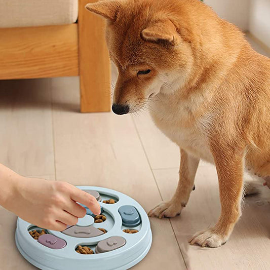 Interactive Dog Puzzle Bowls.