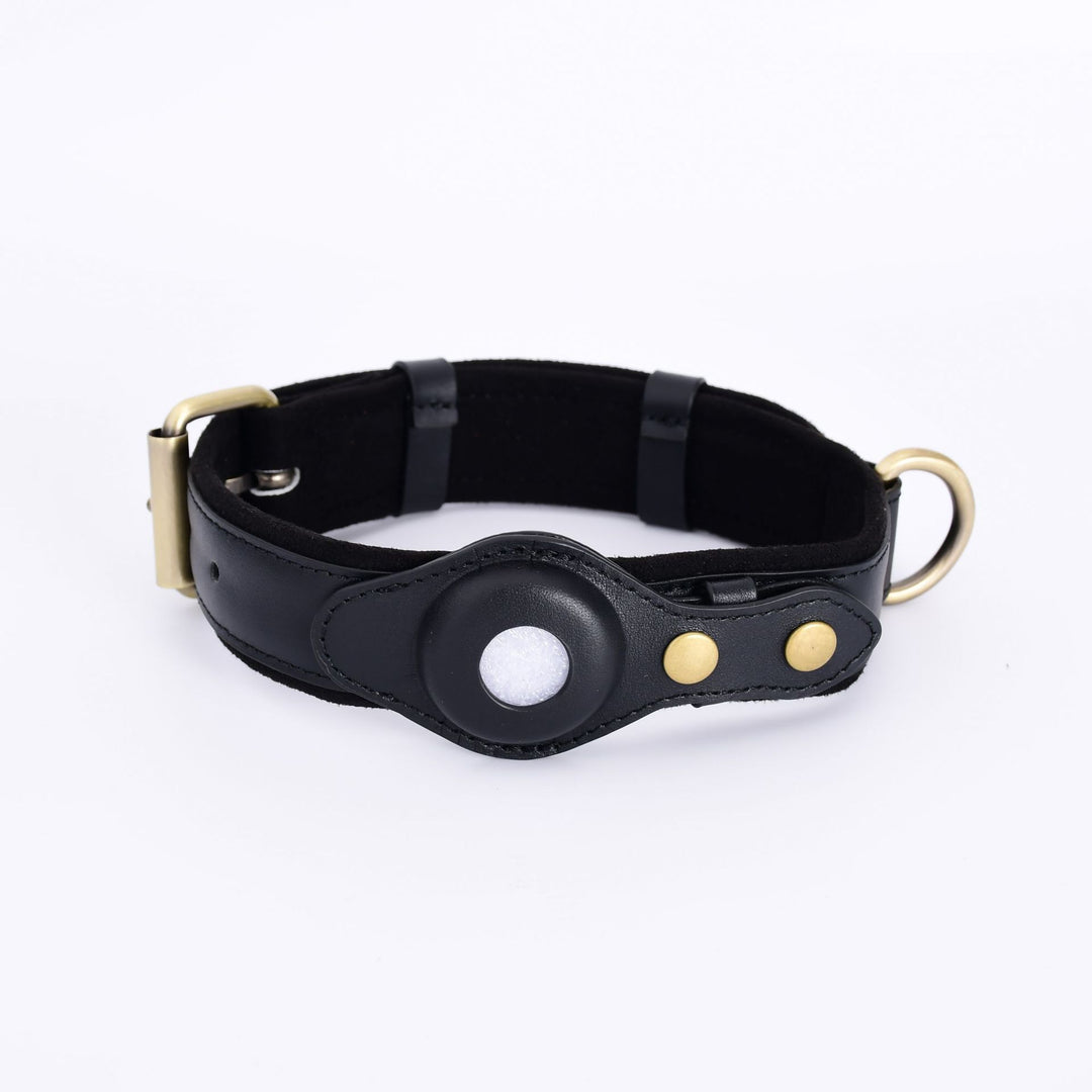 Dog Collar with Secure AirTag Holder
