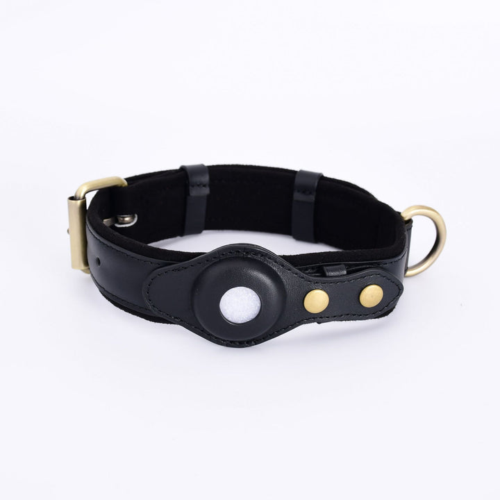 Dog Collar with Secure AirTag Holder
