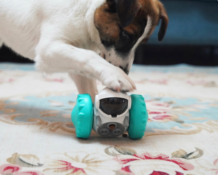 Tumblr Slow Feeder - PetCorner