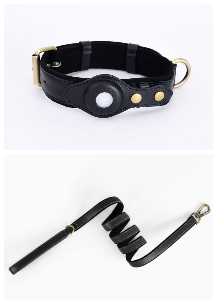 Dog Collar with Secure AirTag Holder