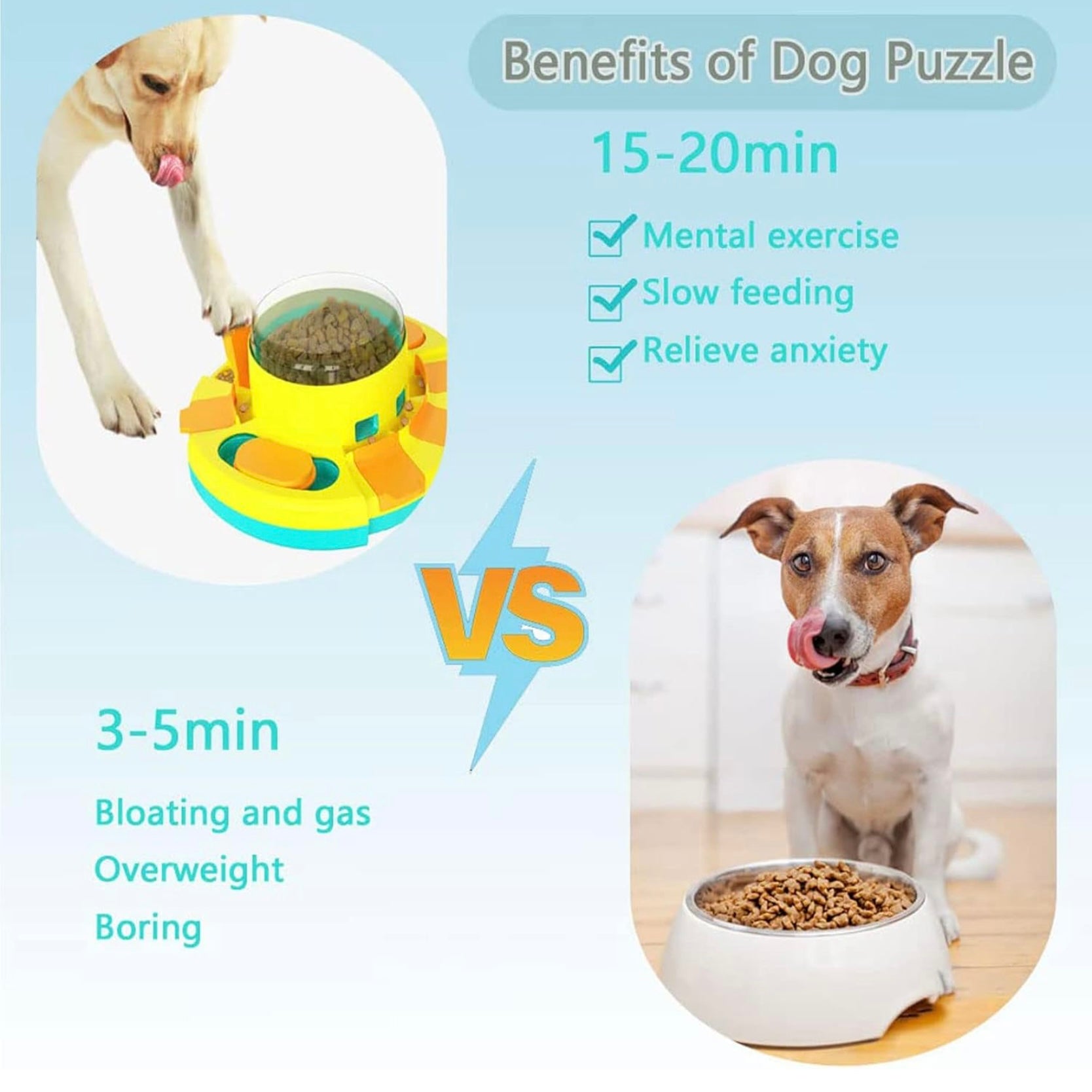 Interactive Dog Puzzle Toy.