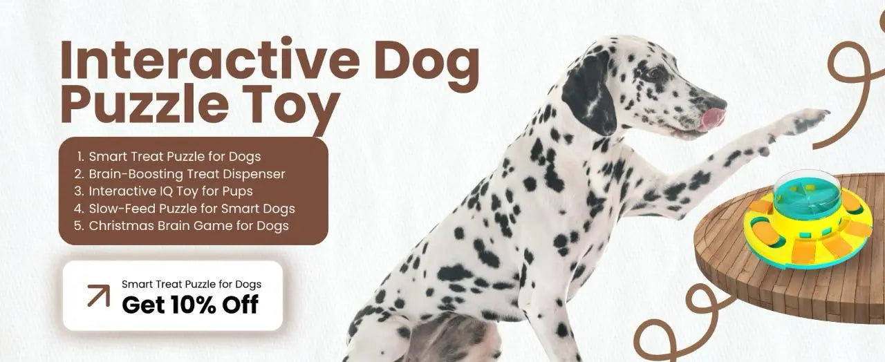 Dalmatian dog playing with an interactive dog puzzle toy